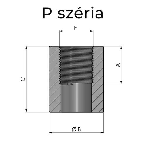Size diagram of the internal threaded extended port - P series