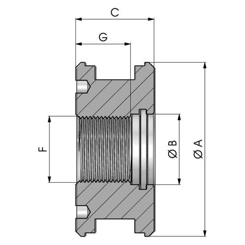Size drawing of the threaded type piston